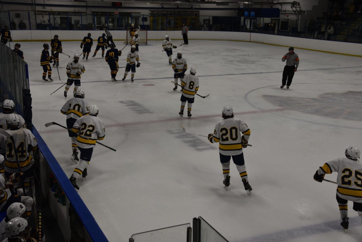 SUBSTITUTION. Subs go into the game when the puck is dead. 