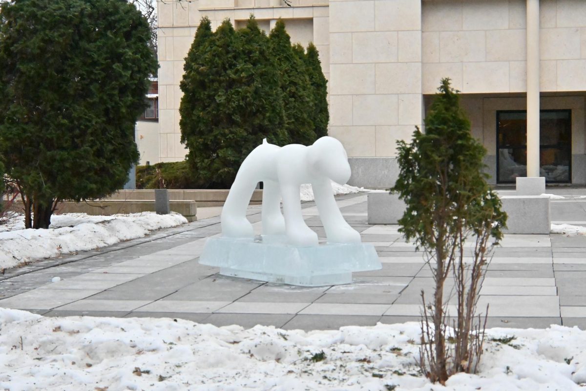 ICEY BEAUTY. “Your Dog” is surrounded by snow as the weather has been colder. 