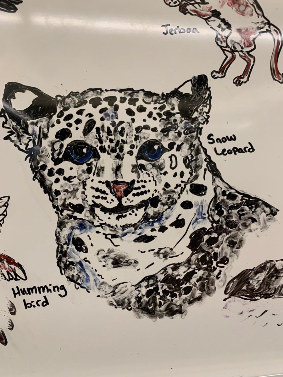DETAILED BLEND. A snow leopard sits elegantly. Bryan blends and smudges marker ink by hand, creating texture through subtle shifts in tone from black to blue. The fine detailing reflects her control of dry-erase techniques, using pressure and timing to suggest fur and movement in her pieces.