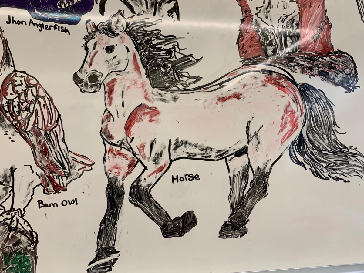 DRAWN BY REQUEST. A horse drawn on the whiteboard reflects the steady stream of requests Bryan receives from classmates. “If people make requests for the board, that’s all requested — animals and stuff,” Bryan said, noting that much of what appears on the board is shaped by those suggestions.