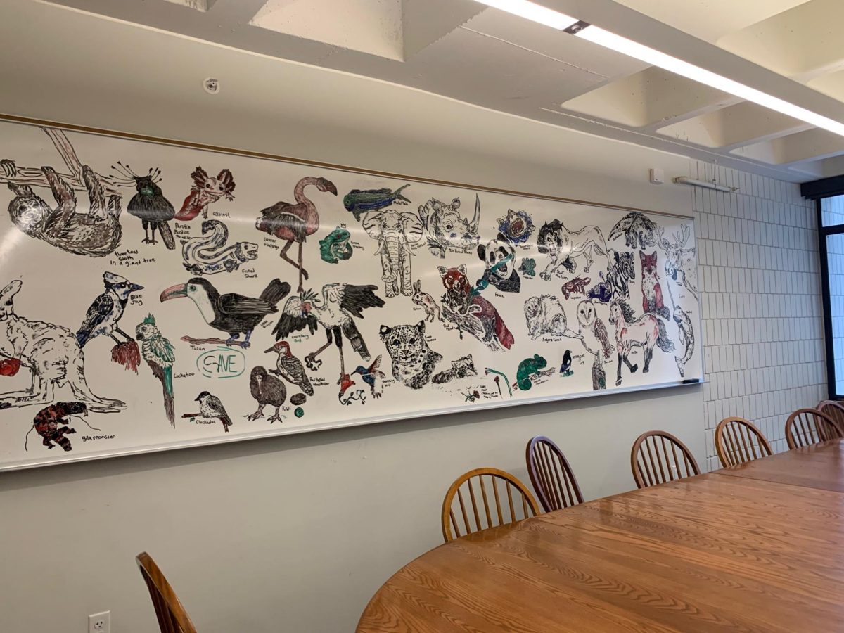 A ROOM TRANSFORMED. A wide view of Bryan’s drawings fills the debate room, surrounding the Harkness table with animals and characters that contrast with the space’s typically stark setting. What is usually a functional classroom becomes a temporary gallery shaped by student requests and Bryan’s evolving style.