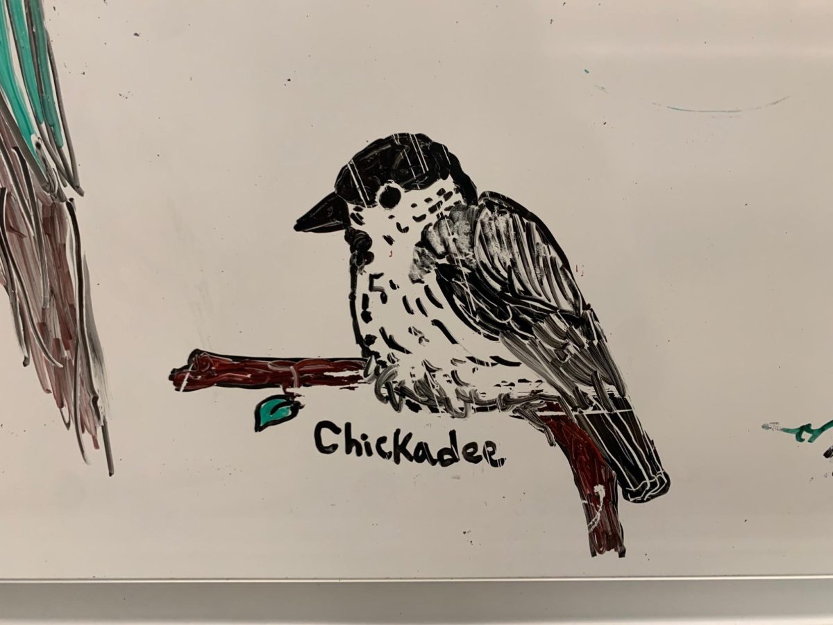 FLEETING BEAUTY. A chickadee drawn by Bryan on the whiteboard shows faint scratches where backpacks have brushed against it, a reminder that her drawings don’t last forever. Even with the marks, the shading and blending show the care she puts into every detail.