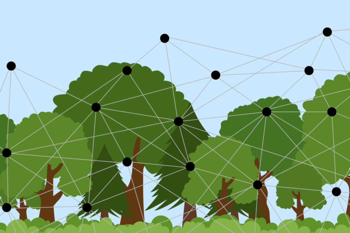 FRIEND OR FOE. Does AI have a positive or negative impact on the environment? Well, it’s complicated. (Made with Canva using images from thanhloc123, Nazar12, Accountanz and Leslie from leslie studios).