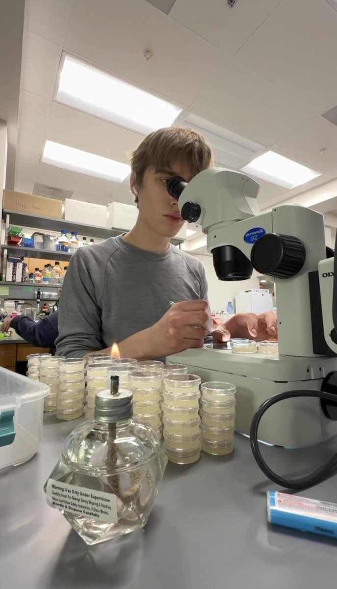 RESEARCHING. Senior Evan Morris in Dr. Matthew Gill's lab at the UMN in Nils Hasselmo Hall, researching aging, neuroscience, and sonogenetics.