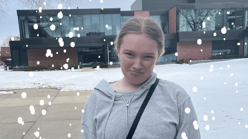 Another gloomy day: how to get through a Minnesota winter