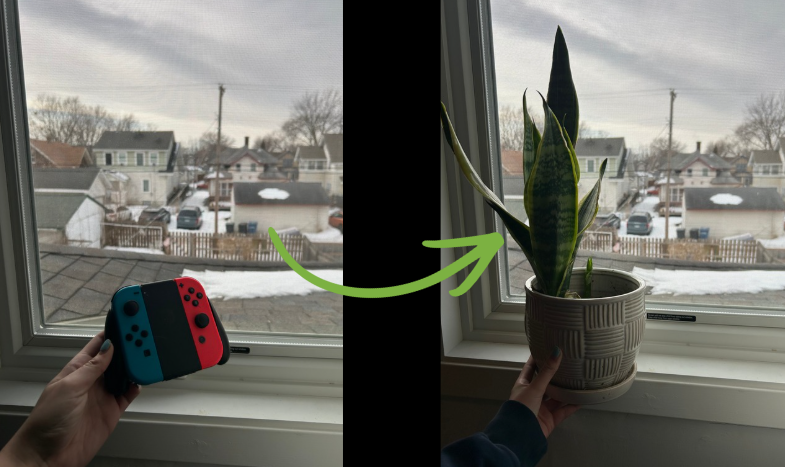 SWITCH IT UP. Swapping out old habits with new ones is a great way to make small improvements and progress. Instead of simply sitting down to play video games, trying out planting is an idea for a swap.