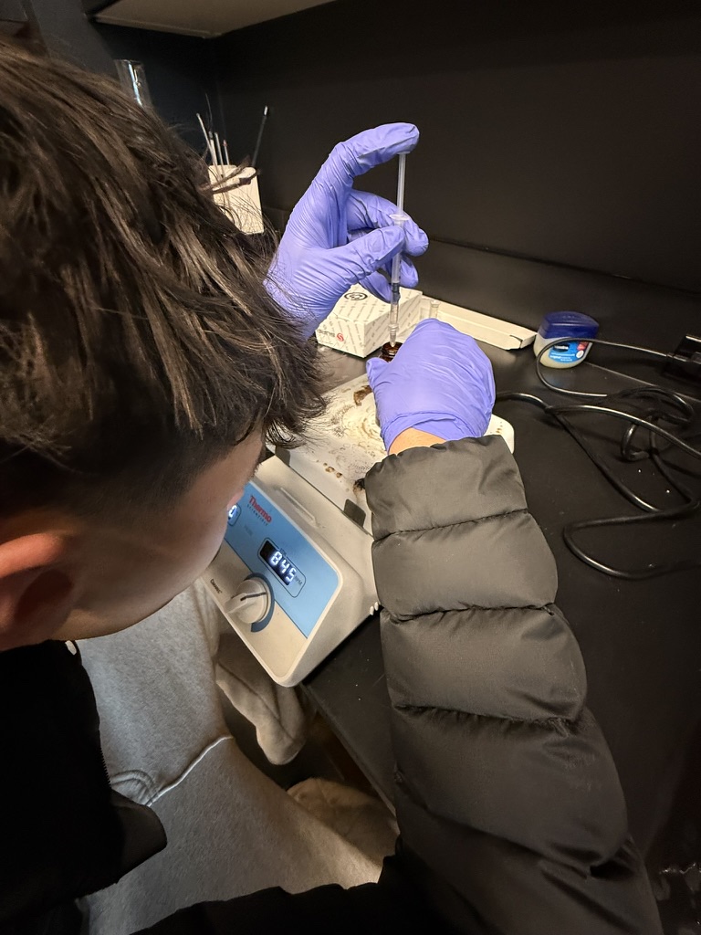 SCIENTIFIC PRECISION. Junior Mattias Halloran carefully inserts liquid into a beaker over a hot plate. When working with lipid nanoparticles, he ensures precision when measuring reactants. (Photo submitted by Mattias Halloran)