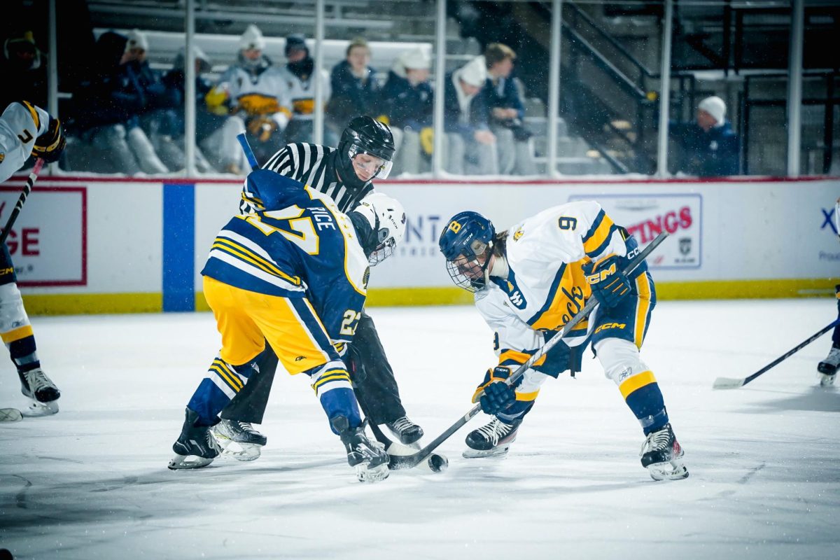 Boys hockey game.