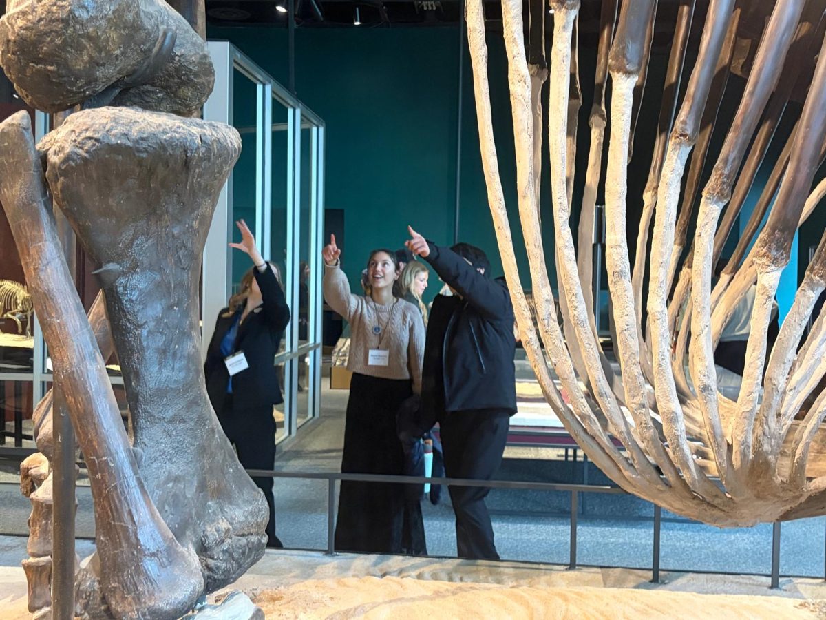 HISTORIC FIND: During their breaktime Avi Coleman and Naomi Glozman explore the science museum.