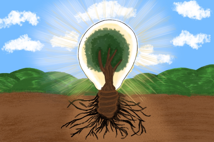FALL BACK OR SOLUTION. The world has labeled renewable energy as the solution. Is it? 